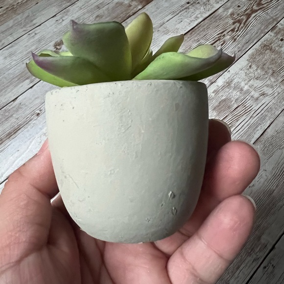 โ๐ผ๐ World Market Faux Succulent Mini Plants - Picture 8 of 14